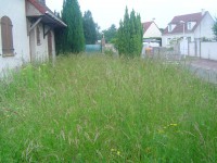 /album/realisation-dentretien-de-jardins/devant-avt4-jpg2/